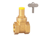 Lock gate valve